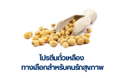 โปรตีนถั่วเหลือง ทางเลือกสำหรับคนรักสุขภาพ